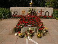 NL, Noord-Holland, Texel, Loladse 1, Saxifraga-Foto Fitis-Sytske Dijksen