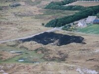 NL, Noord-Holland, Texel, Loodsmansduin 6, Saxifraga-Foto Fitis-Sytske Dijksen