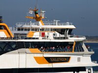 NL, Noord-Holland, Texel, Marsdiep 11, Saxifraga-Foto Fitis-Sytske Dijksen