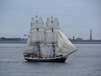 NL, Noord-Holland, Texel, Marsdiep 3, Saxifraga-Foto Fitis-Sytske Dijksen