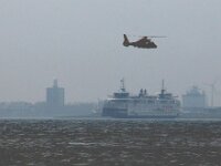 NL, Noord-Holland, Texel, Marsdiep 6, Saxifraga-Foto Fitis-Sytske Dijksen