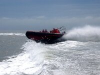 NL, Noord-Holland, Texel, Marsdiep 8, Saxifraga-Foto Fitis-Sytske Dijksen