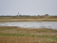 NL, Noord-Holland, Texel, Mokbaai 1, Saxifraga-Tom Heijnen