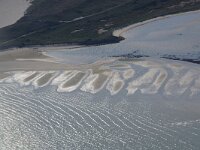 NL, Noord-Holland, Texel, Mokbaai 25, Saxifraga-Foto Fitis-Sytske Dijksen