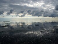 NL, Noord-Holland, Texel, Nieuweschild 2, Saxifraga-Foto Fitis-Sytske Dijksen