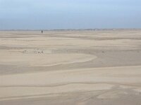 NL, Noord-Holland, Texel, Noorderhaaks 11, Saxifraga-Foto Fitis-Sytske Dijksen