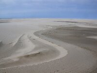 NL, Noord-Holland, Texel, Noorderhaaks 12, Saxifraga-Foto Fitis-Sytske Dijksen