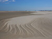 NL, Noord-Holland, Texel, Noorderhaaks 14, Saxifraga-Foto Fitis-Sytske Dijksen
