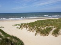 NL, Noord-Holland, Texel, Paal 14 3, Saxifraga-Foto Fitis-Sytske Dijksen