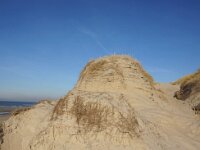 NL, Noord-Holland, Texel, Paal 16 14, Saxifraga-Foto Fitis-Sytske Dijksen