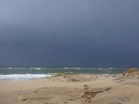 NL, Noord-Holland, Texel, Paal 16 29, Saxifraga-Foto Fitis-Sytske Dijksen