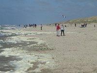 NL, Noord-Holland, Texel, Paal 21 6, Saxifraga-Willem van Kruijsbergen