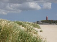 NL, Noord-Holland, Texel, Paal 32 2, Saxifraga-Foto Fitis-Sytske Dijksen