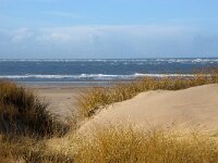 NL, Noord-Holland, Texel, Paal 8 17, Saxifraga-Foto Fitis-Sytske Dijksen