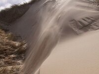 NL, Noord-Holland, Texel, Paal 8 3, Saxifraga-Foto Fitis-Sytske Dijksen