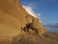 NL, Noord-Holland, Texel, Paal 9 52, Saxifraga-Foto Fitis-Sytske Dijksen