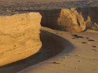 NL, Noord-Holland, Texel, Paal 9 56, Saxifraga-Foto Fitis-Sytske Dijksen