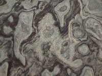 NL, Noord-Holland, Texel, Paal 9 62, Saxifraga-Foto Fitis-Sytske Dijksen