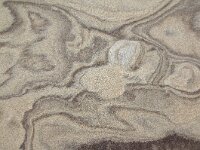 NL, Noord-Holland, Texel, Paal 9 69, Saxifraga-Foto Fitis-Sytske Dijksen