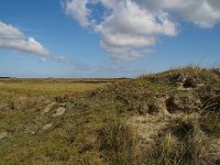 NL, Noord-Holland, Texel, Paal nine 14, Foto Fitis-Sytske Dijksen