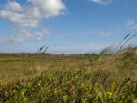 NL, Noord-Holland, Texel, Paal nine 6, Foto Fitis-Sytske Dijksen