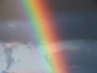 NL, Noord-Holland, Texel, Rainbow, Den Hoorn 23, Saxifraga-Foto Fitis-Sytske Dijksen