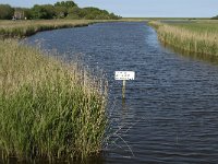 NL, Noord-Holland, Texel, Roggesloot 2, Saxifraga-Jan van der Straaten