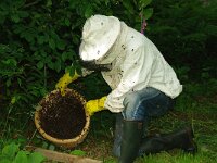 NL, Noord-Holland, Texel, Rommelpot 4, Saxifraga-Foto Fitis-Sytske Dijksen