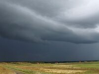 NL, Noord-Holland, Texel, Shelf cloud, Bollekamer 57, Saxifraga-Foto Fitis-Sytske Dijksen