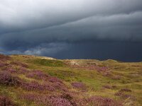 NL, Noord-Holland, Texel, Shelfcloud, Bollekamer 39, Saxifraga-Foto Fitis-Sytske Dijksen