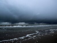 NL, Noord-Holland, Texel, Shower, Paal 17 4, Saxifraga-Foto Fitis-Sytske Dijksen