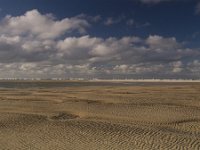 NL, Noord-Holland, Texel, Slufter-Noordzee 3, Saxifraga-Jan Nijendijk