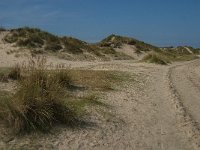 NL, Noord-Holland, Texel, Slufterbollen 4, Saxifraga-Jan van der Straaten