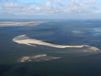 NL, Noord-Holland, Texel, Steenplaat 2, Saxifraga-Foto Fitis-Sytske Dijksen