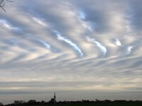 NL, Noord-Holland, Texel, Stratocumulus undulatus, Ruige Hoek 12, Saxifraga-Foto Fitis-Sytske Dijksen