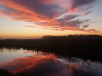 NL, Noord-Holland, Texel, Sunrise, Rommelpot 21, Saxifraga-Foto Fitis-Sytske Dijksen