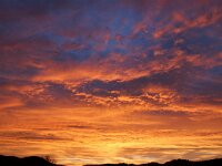 NL, Noord-Holland, Texel, Sunset, Ruige Hoek 15, Saxifraga-Foto Fitis-Sytske Dijksen