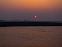 NL, Noord-Holland, Texel, Veerhaven 2, Saxifraga-Bart Vastenhouw