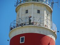 NL, Noord-Holland, Texel, Vuurtoren 20, Saxifraga-Foto Fitis-Sytske Dijksen