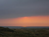 NL, Noord-Holland, Texel, Vuurtoren 6, Saxifraga-Bart Vastenhouw