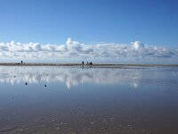 NL, Noord-Holland, Texel, Vuurtorenstrand 4, Saxifraga-Foto Fitis-Sytske Dijksen