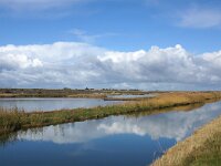 NL, Noord-Holland, Texel, Wagejot 6, Saxifraga-Foto Fitis-Sytske Dijksen