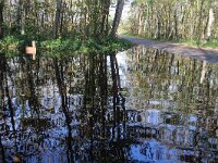 NL, Noord-Holland, Texel, Wagejot 7, Saxifraga-Foto Fitis-Sytske Dijksen