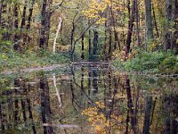 NL, Noord-Holland, Texel, Wagejot 8, Saxifraga-Foto Fitis-Sytske Dijksen