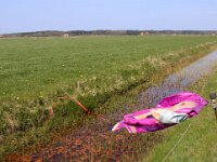 NL, Noord-Holland, Texel, Westerweg 1, Saxifraga-Foto Fitis-Sytske Dijksen