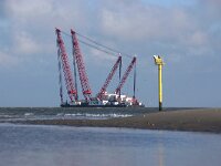 NL, Noord-Holland, Texel, Working Island Rambiz 1, Saxifraga-Foto Fitis-Sytske Dijksen