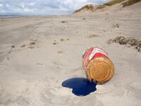 NL, Noord-Holland, Texel, paal 12 12, Saxifraga-Foto Fitis-Sytske Dijksen