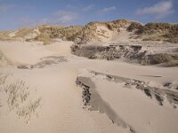 NL, Noord-Holland, Texel, paal 12 4, Saxifraga-Foto Fitis-Sytske Dijksen