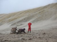 NL, Noord-Holland, Texel, paal 12 6, Saxifraga-Foto Fitis-Sytske Dijksen