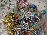 NL, Noord-Holland, Texel, paal 15 8, Saxifraga-Foto Fitis-Sytske Dijksen